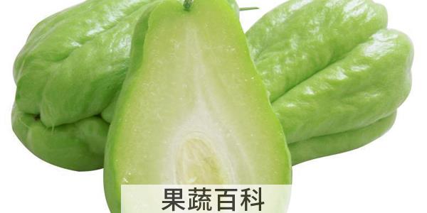 佛手瓜是水果还是蔬菜