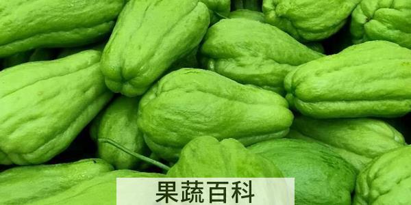 佛手瓜是水果还是蔬菜