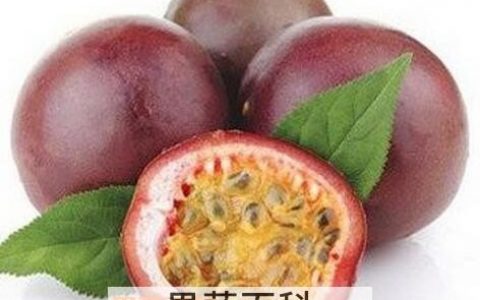 百香果籽的功效与作用及禁忌症图片 百香果籽的功效与作用及禁忌症是什么