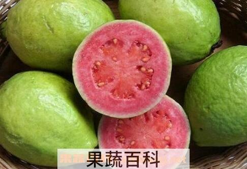 台湾芭乐的功效与作用