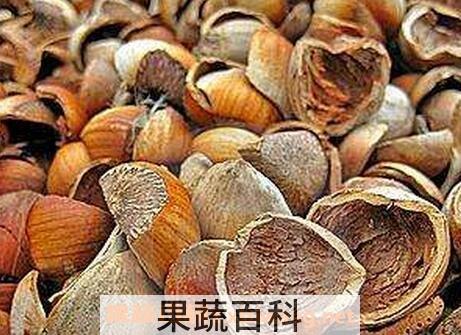 榛子壳的功效与作用及禁忌