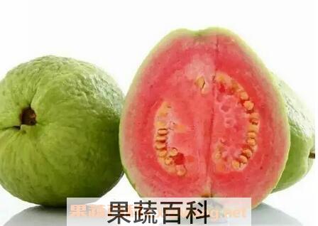 红心芭乐的功效与作用