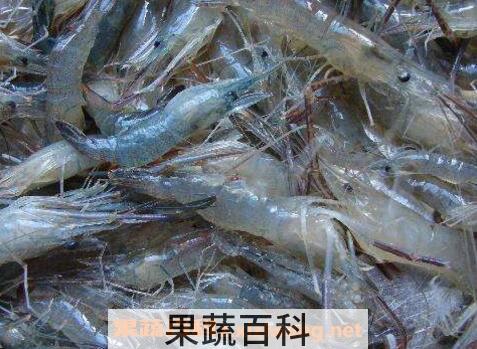 河虾和基围虾的区别 基围虾的营养价值