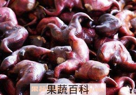 菱角煮多长时间能熟 