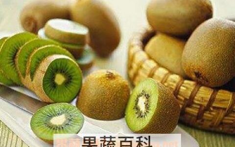 奇异果与猕猴桃有什么区别和功效 奇异果与猕猴桃有什么区别图片