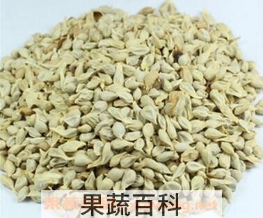盐桔核的功效与作用