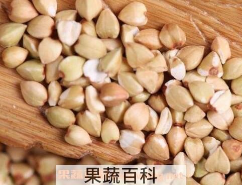 荞麦的功效与作用及食用方法