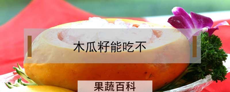 木瓜籽能吃不