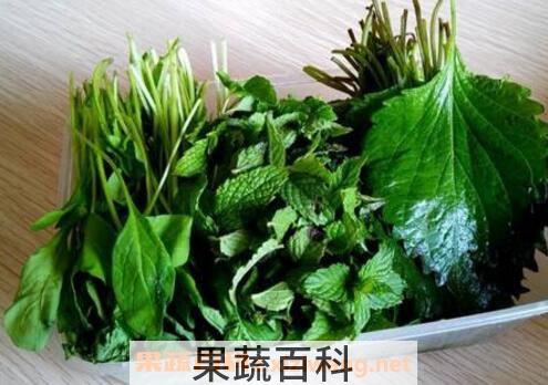 紫苏叶可以生吃吗 紫苏叶能泡水喝吗