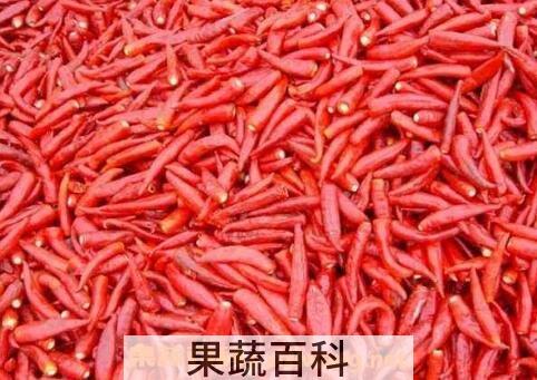 辣椒素对身体有害吗 合成辣椒素有哪些危害