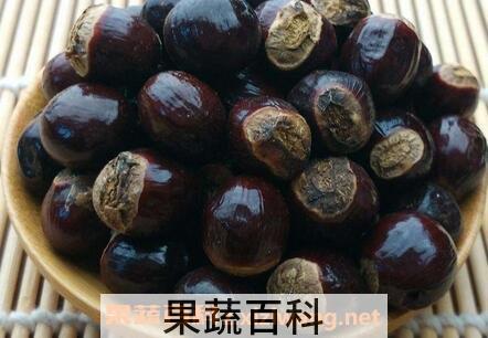 元肉核的功效与作用及禁忌