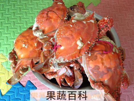 螃蟹不能和什么一起吃 吃螃蟹不能吃什么