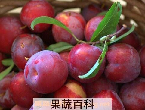 李果的功效与作用