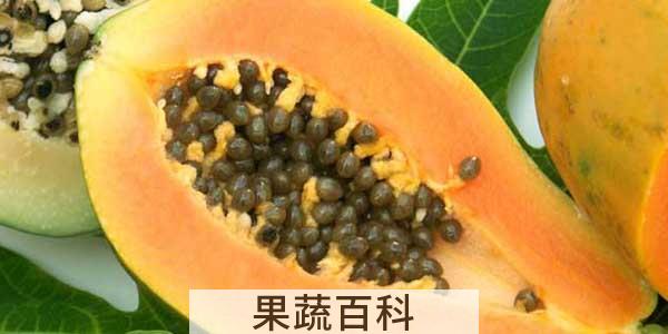 木瓜为什么是苦的