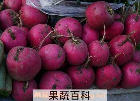 什么是雌性红萝卜 雌性红萝卜的功效与作用