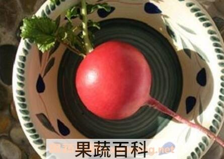 什么是雌性红萝卜 雌性红萝卜的功效与作用