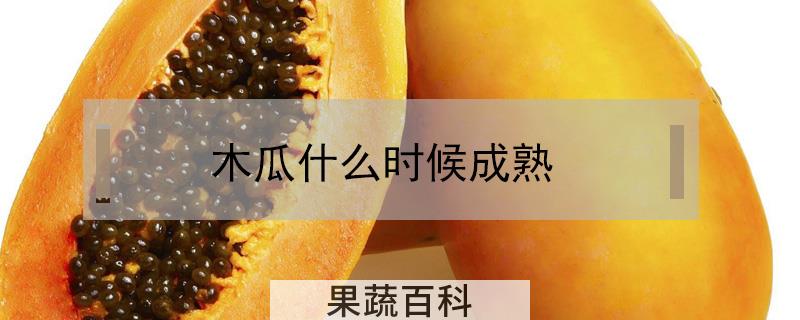 木瓜什么时候成熟