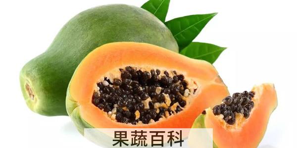 木瓜什么时候成熟
