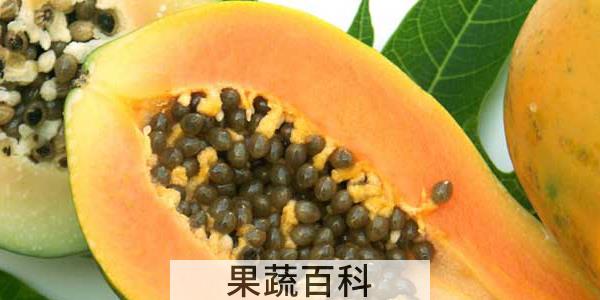 木瓜能泡水喝吗?