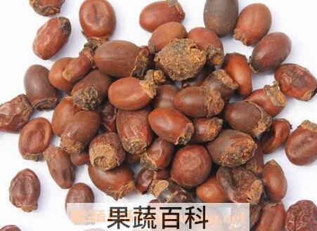  中药荔枝核的功效与作用