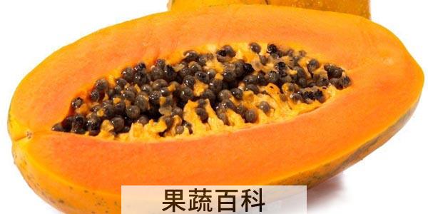木瓜是硬的可以吃吗