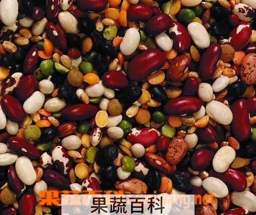 果蔬百科