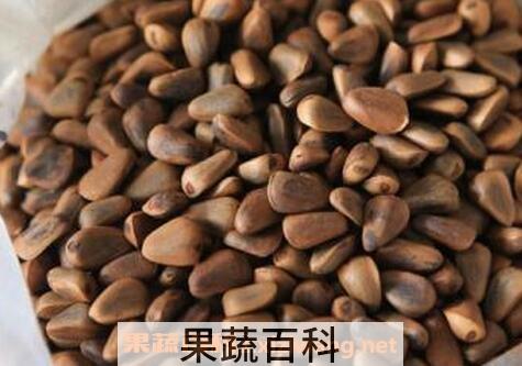 松子壳的作用及禁忌