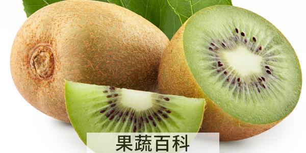 猕猴桃为什么要用苹果催熟