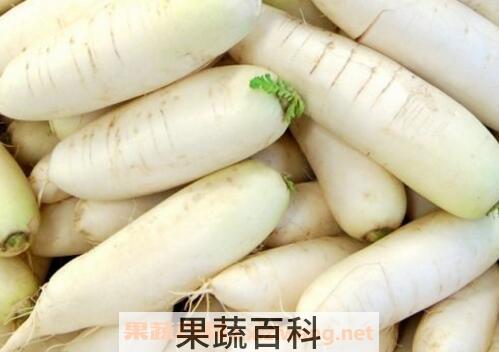 白萝卜的功效和禁忌