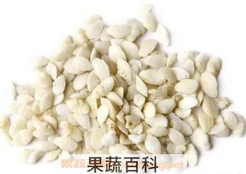 中药鱼脑石的功效与作用及药用价值