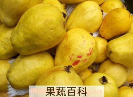 黄芭乐的功效与作用