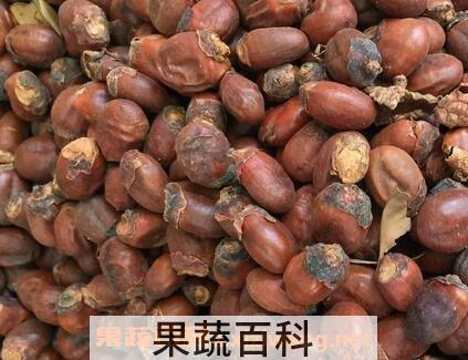 枝核的功效与作用