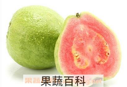 台湾红心芭乐怎么吃