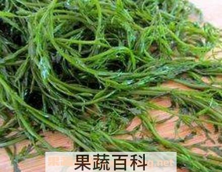 螺旋藻怎么吃 螺旋藻的吃法技巧