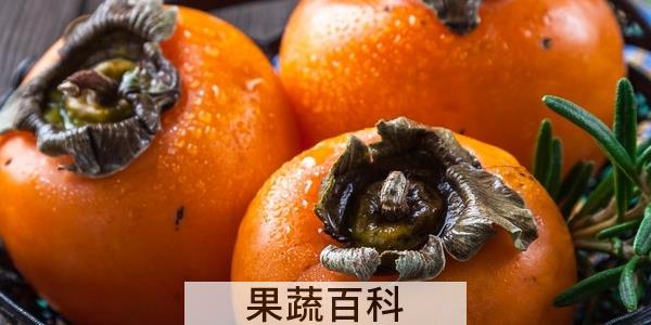 柿子怎么催熟快