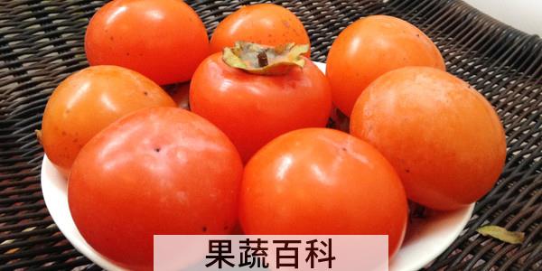 柿子怎么催熟快