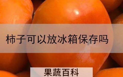 柿子可以放冰箱保存吗