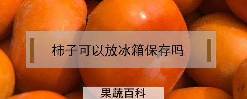 柿子可以放冰箱保存吗
