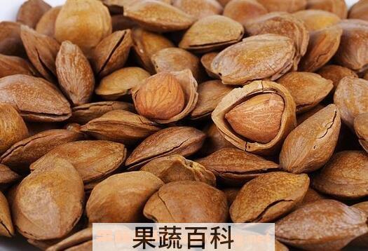 杏仁壳的功效与作用及禁忌