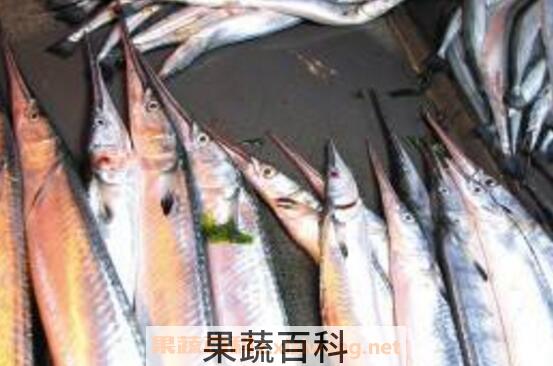 针良鱼的功效与作用