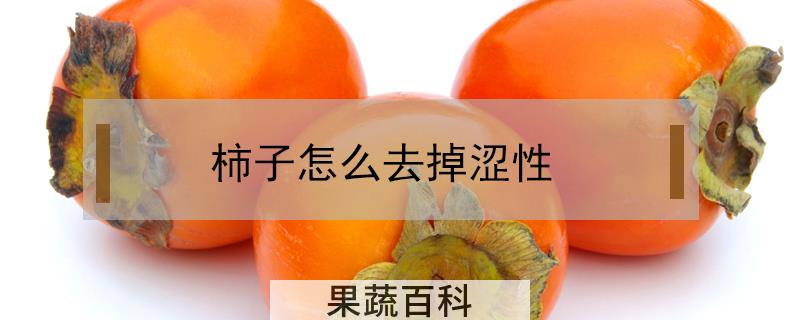 柿子怎么去掉涩性