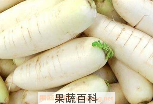 白萝卜不能和什么一起吃 吃白萝卜的注意事项