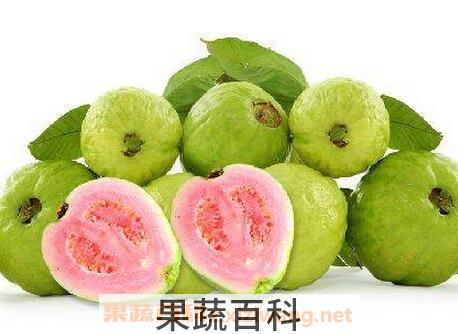 台湾红心芭乐的功效 