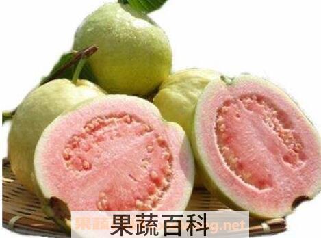 红心芭乐籽可以吃么