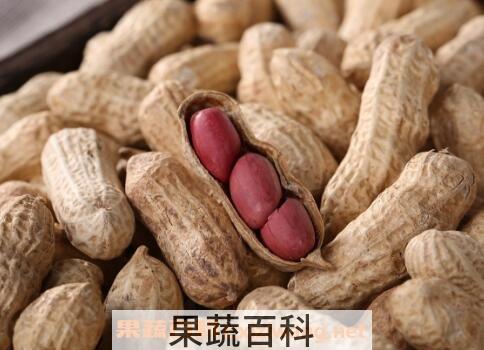花生的功效与作用有哪些