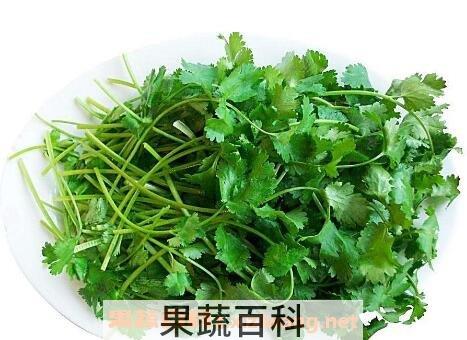 香菜的功效与作用有哪些