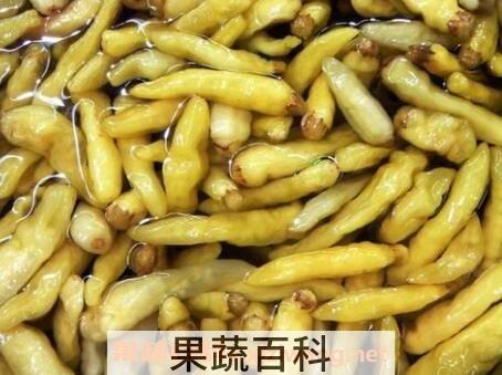 怎么腌辣椒好吃 腌辣椒的做法教程