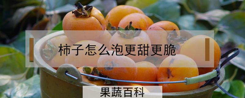 柿子怎么泡更甜更脆