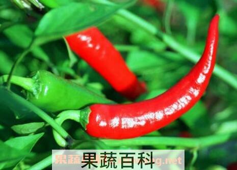 切辣椒后手很辣怎么办