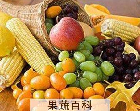 碱性食物有哪些 吃碱性食物的功效与好处
